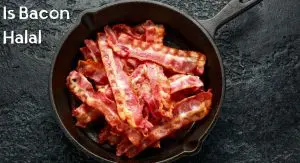 Is Bacon Halal