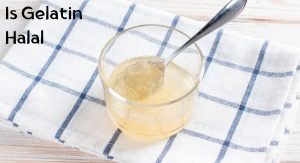 Is Gelatin Halal or Haram Is Gelatin Halal