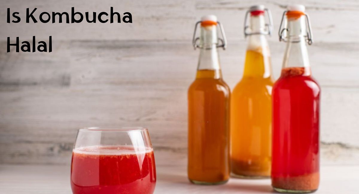 Is Kombucha Halal or Haram Is Kombucha Halal