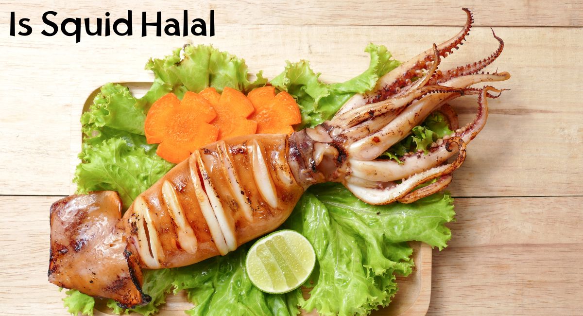 Is Squid Halal or Haram Is Squid Halal