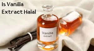 Is Vanilla Extract Halal Is Vanilla Extract Halal