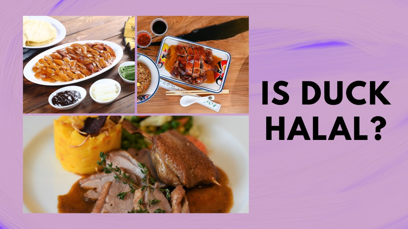 Is Duck Halal is duck halal