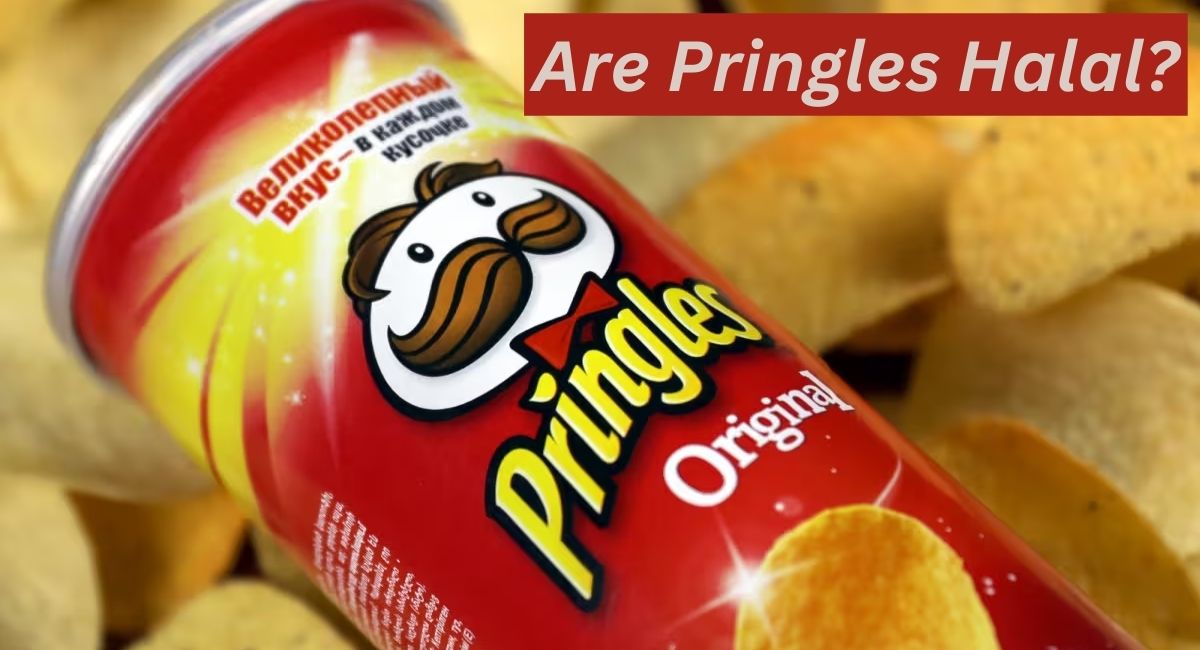 Are Pringles Halal? Are Pringles Halal