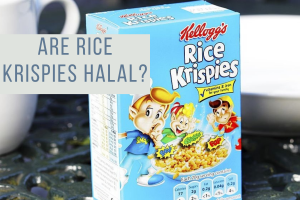 Are Rice Krispies Halal? Are Rice Krispies Halal