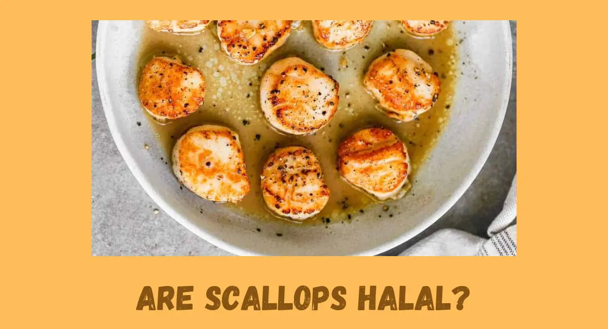 Are Scallops Halal