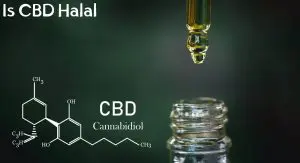 Is CBD Halal