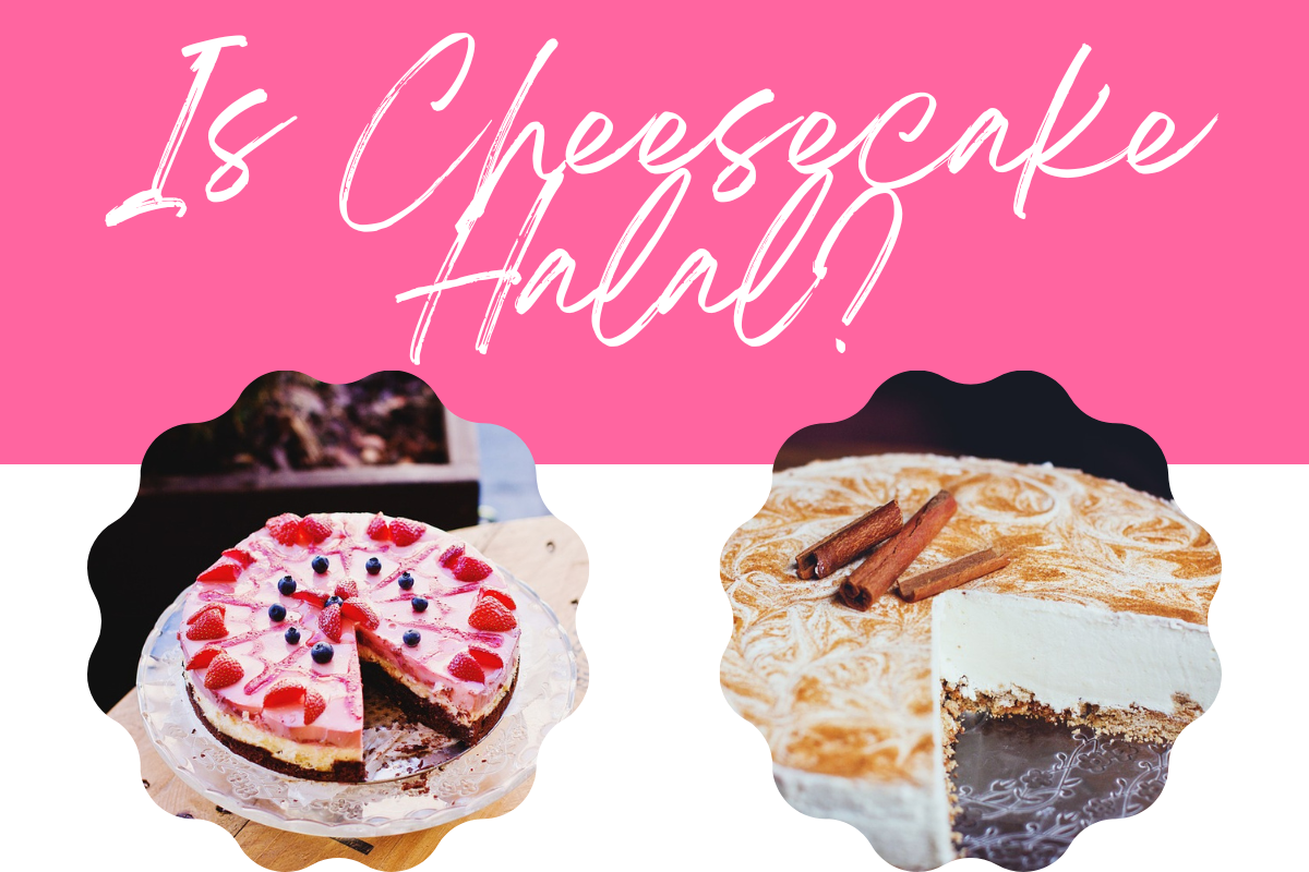 Is Cheesecake Halal? Is Cheesecake Halal