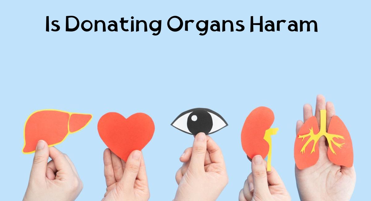 Is Donating Organs Haram Is Donating Organs Haram