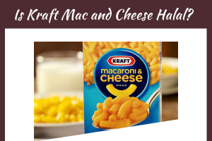 Is Kraft Mac and Cheese Halal