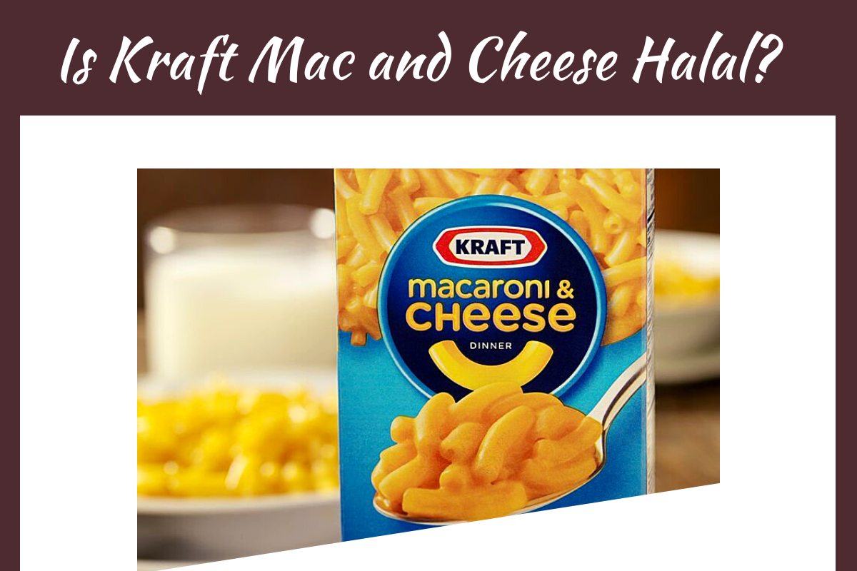 Is Kraft Mac and Cheese Halal or Haram? Is Kraft Mac and Cheese Halal