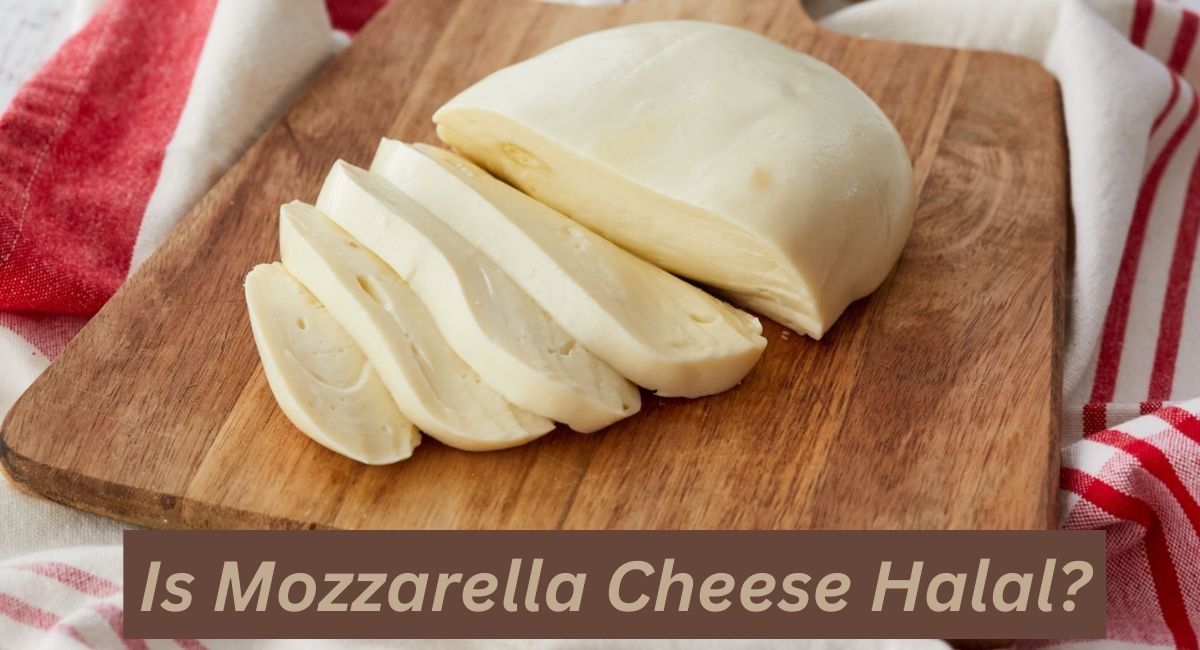 Is Mozzarella Cheese Halal? Is Mozzarella Cheese Halal