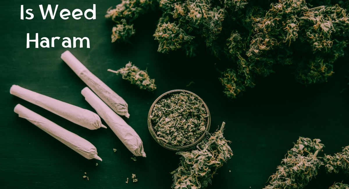 Is Weed Haram Is Weed Haram