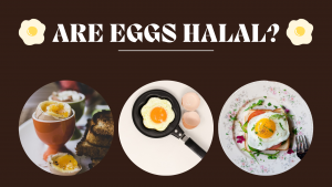 Are Eggs Halal? Quick Facts Are Eggs Halal