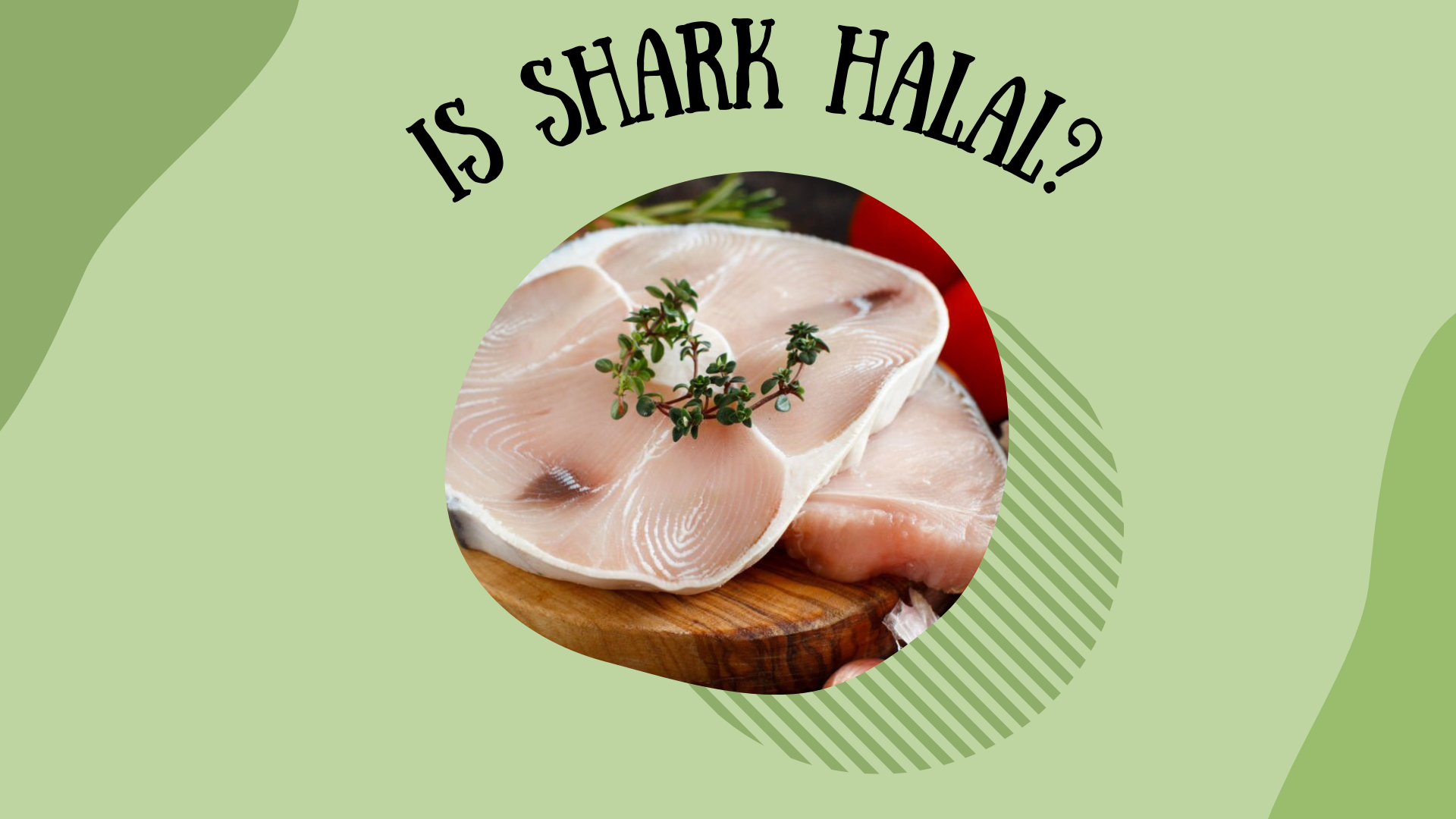 Is Shark Halal Or Haram? Everything You Need To Know is shark halal