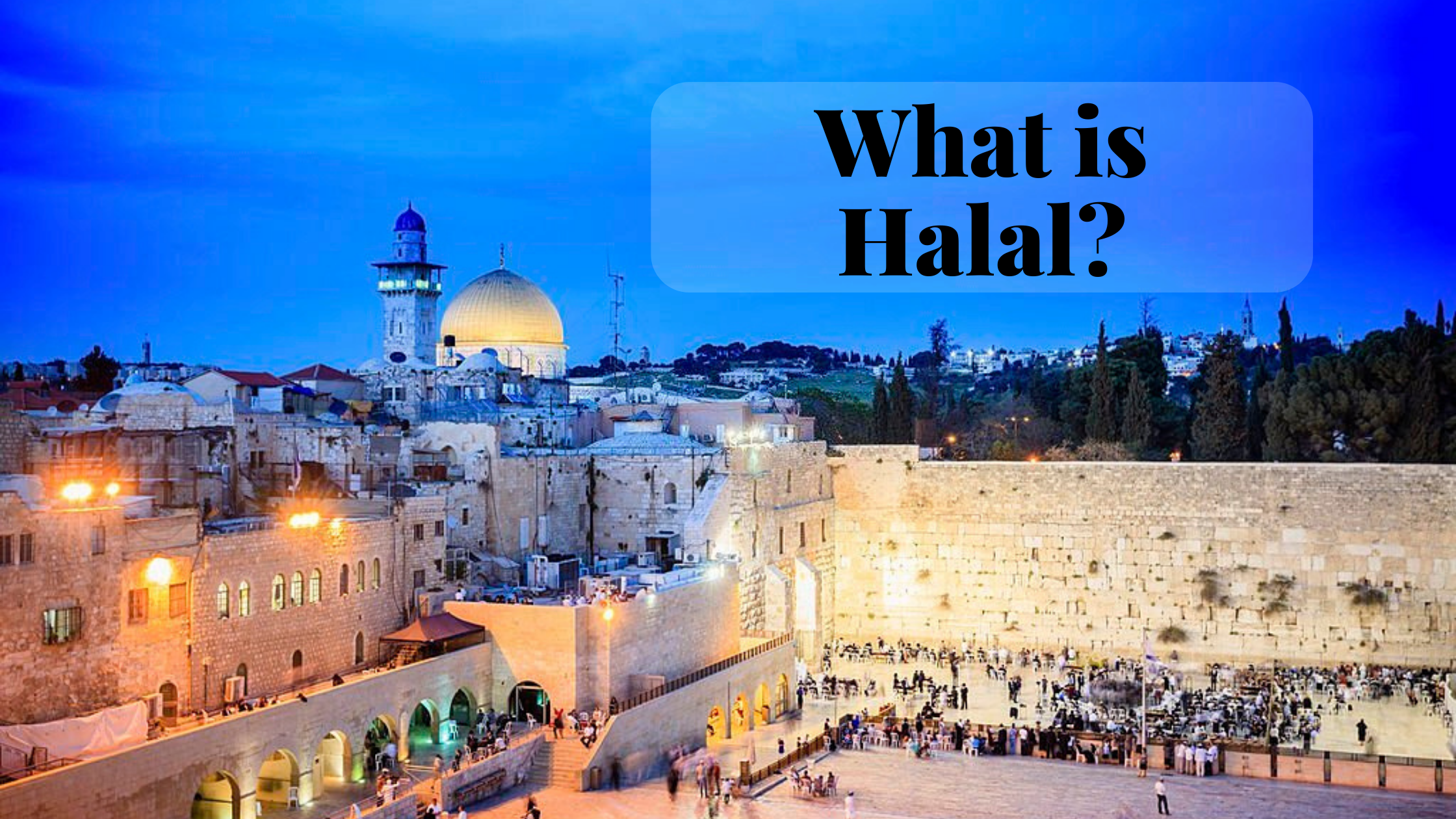 What Is Halal: A Deeper Look what is halal