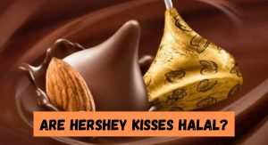Are Hershey Kisses Halal? Are Hershey Kisses Halal