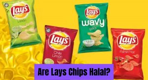 Are Lays Chips Halal? Quick Facts Are Lays Chips Halal