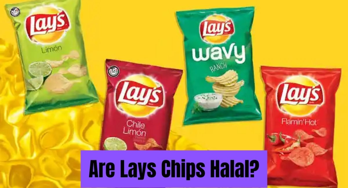 Are Lays Chips Halal