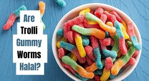 Are Trolli Gummy Worms Halal? (To Have It Or Not) Are Trolli Gummy Worms Halal