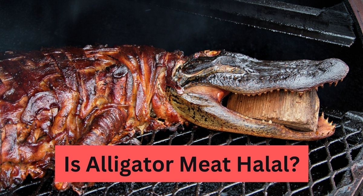 Is Alligator Meat Halal
