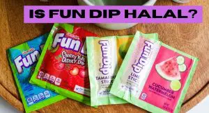 Is Fun Dip Halal