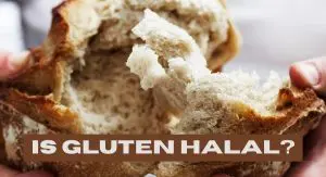 Is Gluten Halal Is Gluten Halal