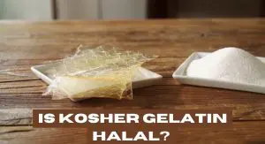 Is Kosher Gelatin Halal Or Not? Is Kosher Gelatin Halal