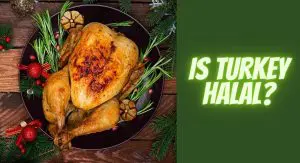 Is Turkey Halal? The Ultimate Guide ###YEAR### Is Turkey Halal