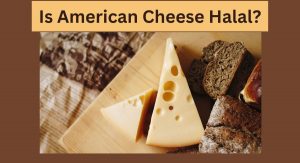Is American Cheese Halal Or Haram? is american cheese halal