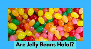 Are Jelly Beans Halal? Quick Answer ###YEAR### Are Jelly Beans Halal