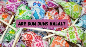Are Dum Dums Halal? Are Dum Dums Halal