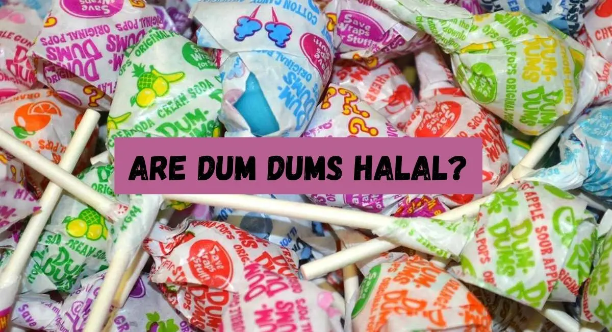 Are Dum Dums Halal