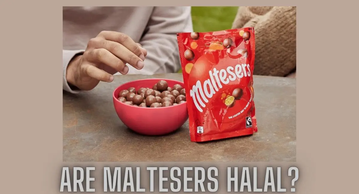 Are Maltesers Halal? Are Maltesers Halal