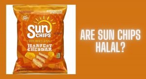 Are Sun Chips Halal Or Haram? Are Sun Chips Halal