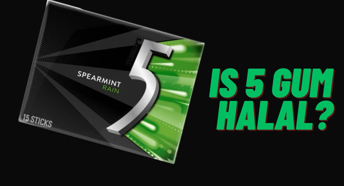 Is 5 Gum Halal Or Haram? Is 5 Gum Halal