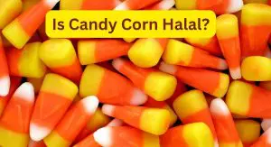 Is Candy Corn Halal