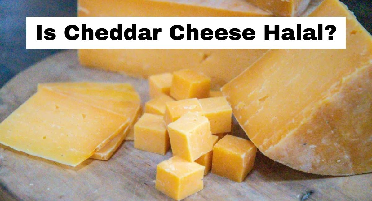 Is Cheddar Cheese Halal