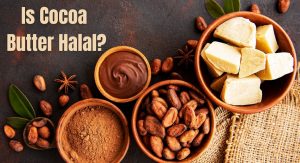 Is Cocoa Butter Halal? Is Cocoa Butter Halal