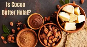 Is Cocoa Butter Halal? Is Cocoa Butter Halal