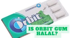 Is Orbit Gum Halal? Is Orbit Gum Halal
