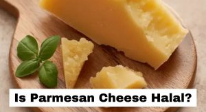 Is Parmesan Cheese Halal? Is Parmesan Cheese Halal