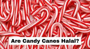 Are Candy Canes Halal? are candy canes halal