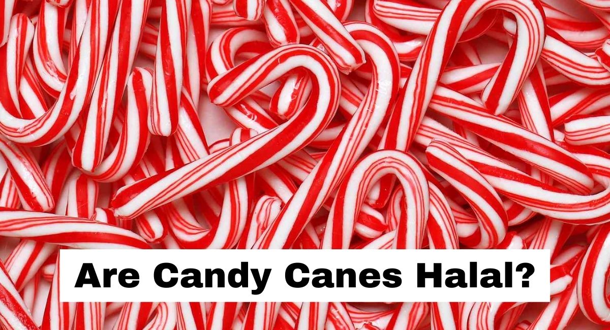 Are Candy Canes Halal? are candy canes halal
