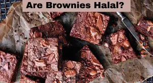 Are Brownies Halal? Are Brownies Halal