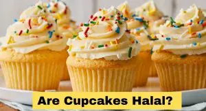 Are Cupcakes Halal? Are Cupcakes Halal