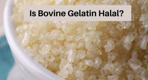 Is Bovine Gelatin Halal? Is Bovine Gelatin Halal