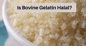 Is Bovine Gelatin Halal? Is Bovine Gelatin Halal