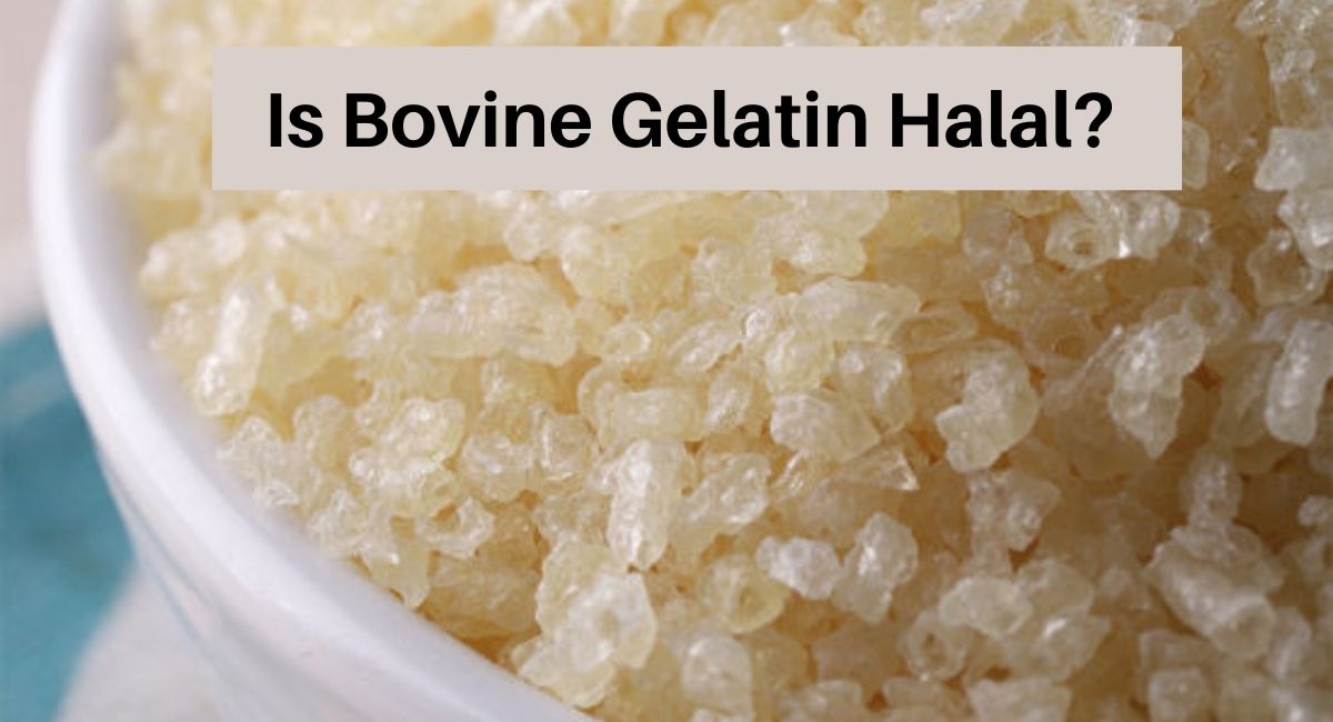 Is Bovine Gelatin Halal