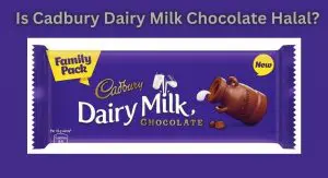 Is Cadbury Dairy Milk Chocolate Halal? Is Cadbury Dairy Milk Chocolate Halal