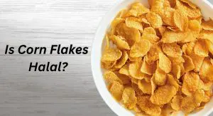 Is Corn Flakes Halal? Is Corn Flakes Halal